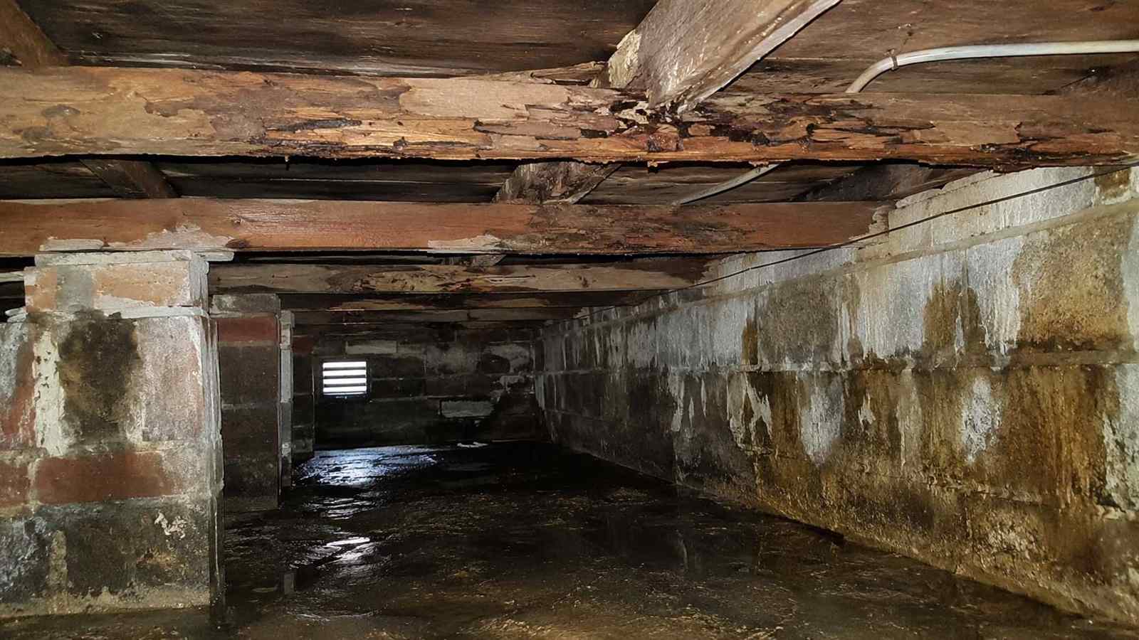 Why Is Timber Rot Worse in an Empty House? — illustrative timber damage or inspection photograph