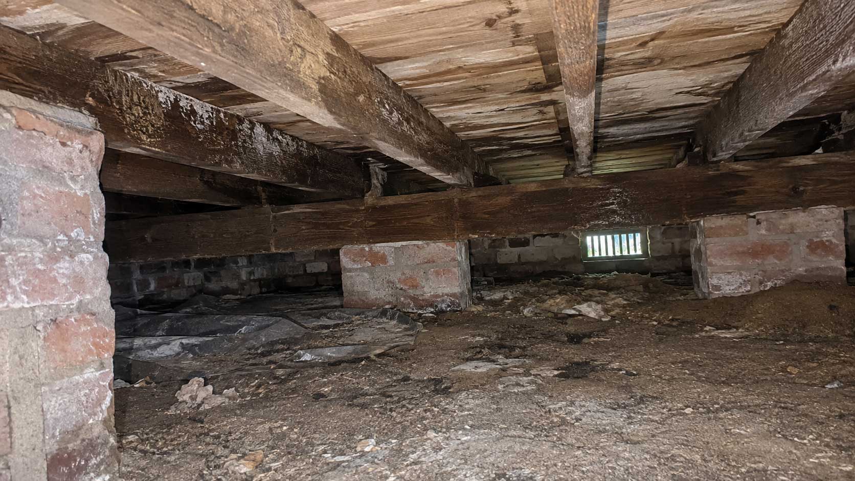 Timber and building detail relevant to dry rot under floorboards