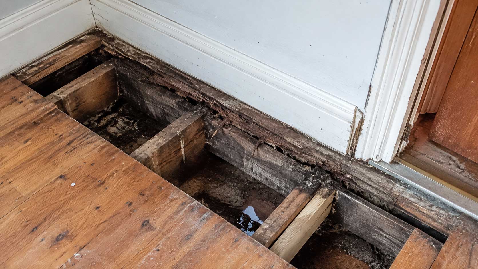 Timber and building detail relevant to what is wet rot?
