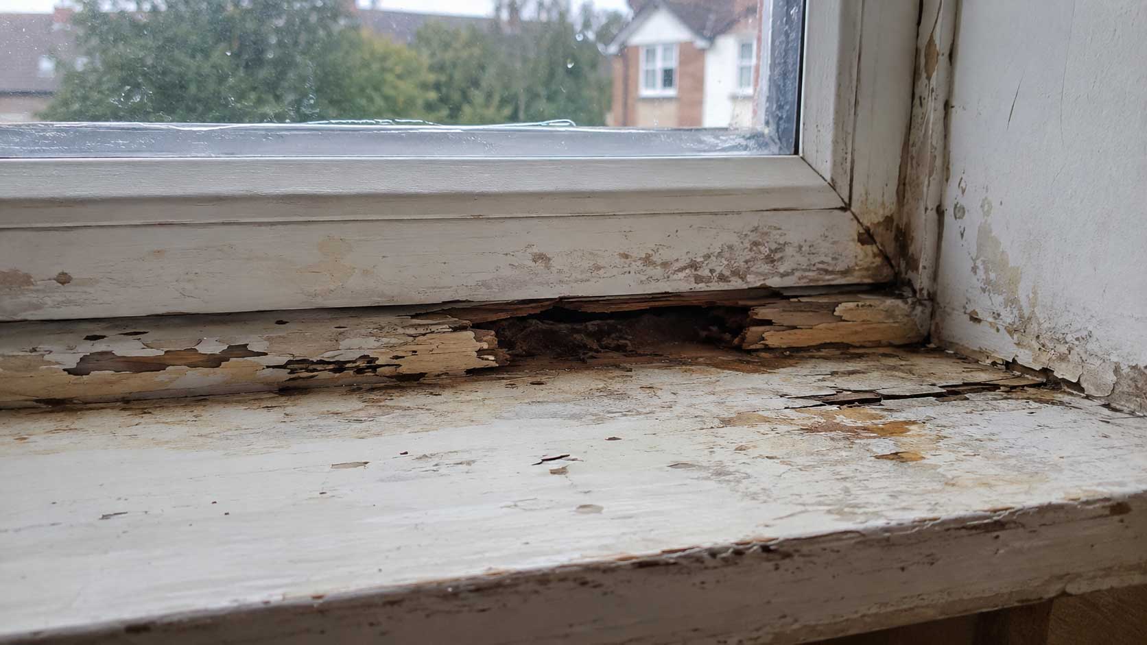 Timber and building detail relevant to how to identify wet rot